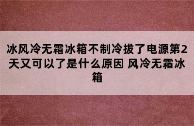 冰风冷无霜冰箱不制冷拔了电源第2天又可以了是什么原因 风冷无霜冰箱